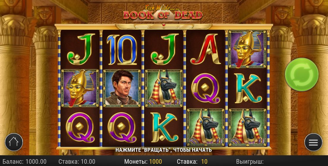 Book of Dead slot